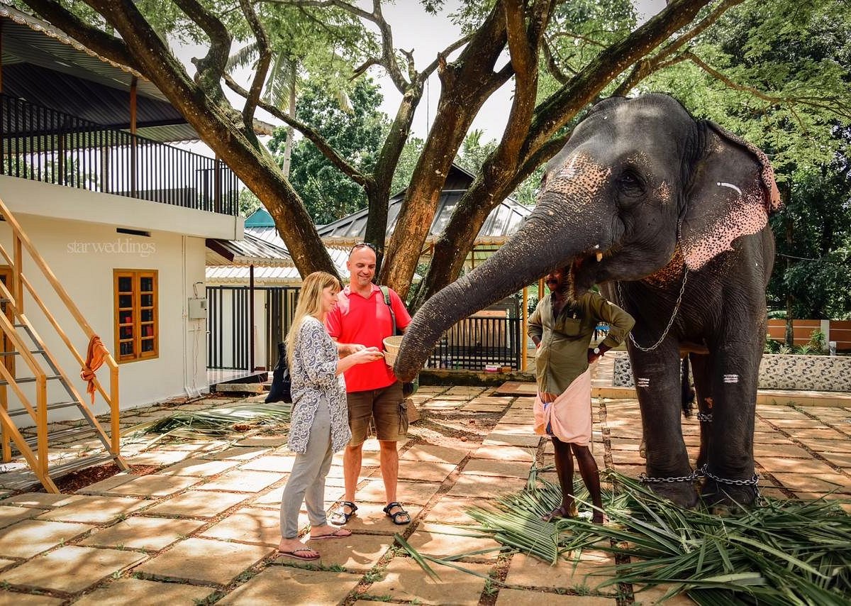 Kaveri Elephant Park