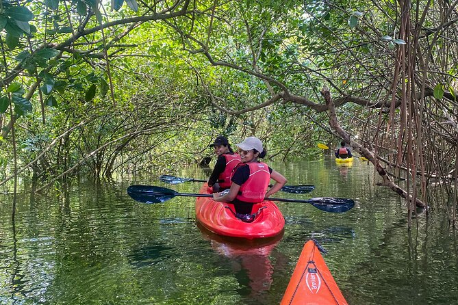 Mangrove Adventure
